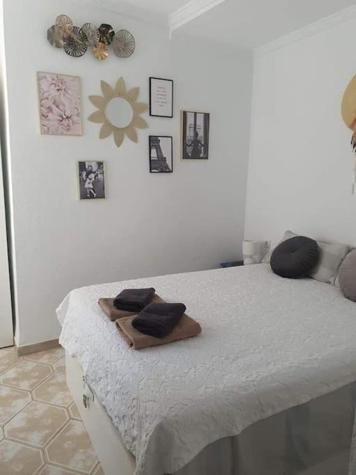 Costa Blanca Family Apartments One Bedroom Apartment Torrevieja Dış mekan fotoğraf